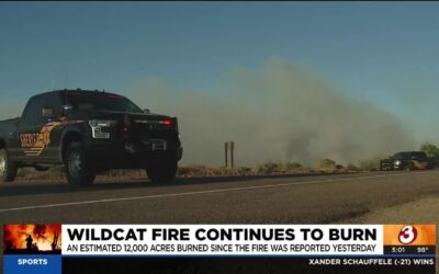 Fast-Growing Wildfire Has Shut Down a Portion of the Tonto National Forest in AZ