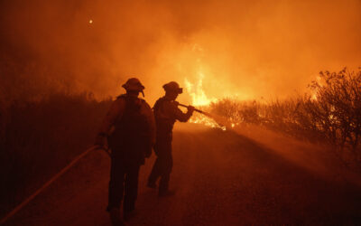 Photo Gallery: Crews Working in Sweltering Conditions and Steep Terrain Battle Major Los Angeles-Area Wildfire