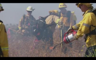 Two Dozen San Diego-Area Firefighters Take Wildland Leadership Course Ahead of Upcoming Dry Season