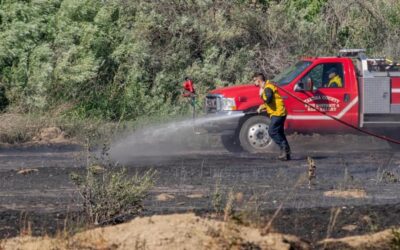 Lawn Mower Sparks Wildfire That Prompts Evacuations in WA