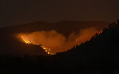 Review of Prescribed Fires Finds Gaps in Key Areas as U.S. Forest Service Looks To Improve Safety