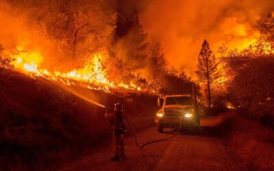 AEM Report Reveals Critical Gaps in North American Wildfire Resilience