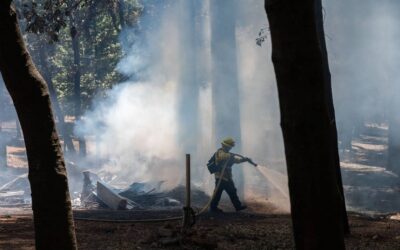 Chico (CA) Planned a Burn That Could Have Curbed the Park Fire. Here’s Why It Didn’t Get Done