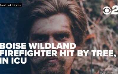 ID Firefighter, 26, Injured by Falling Tree During Wildfire Response