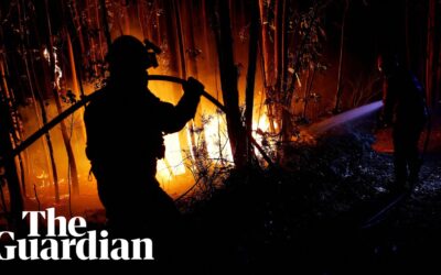 Wildfires in Portugal Kill Four Firefighters
