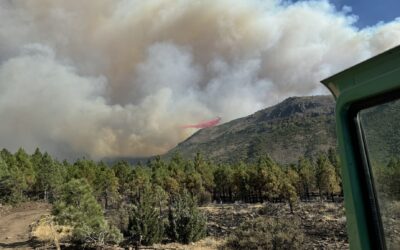 Crews Slow Progress of CA Sierra Wildfire, but Evacuation Orders Remain