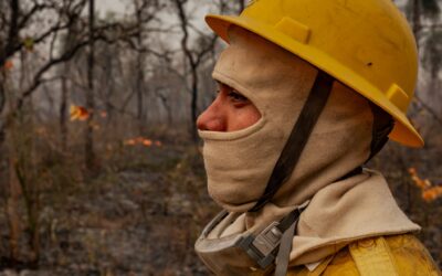 Brazil’s Indigenous Firefighters Battling the Ever-More Rapid Flames