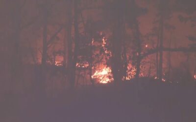 Crews Fought Large Brush Fire in MA; One Person Found Dead in Separate Outdoor Fire