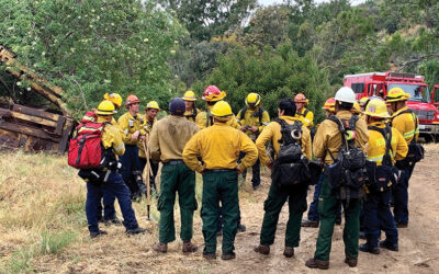Effective Wildland Fire Management: Beyond the Logistics