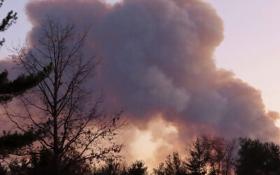 Second Teen Charged in NJ Forest Fire
