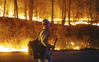 Dozens of Fires Still Burn in US Northeast but CA Fires Under Control