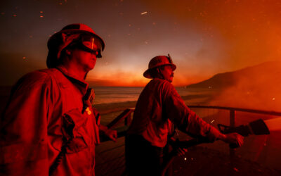 Los Angeles Wildfires Latest: Five Dead, Fire Remains Uncontrolled as Winds Ease