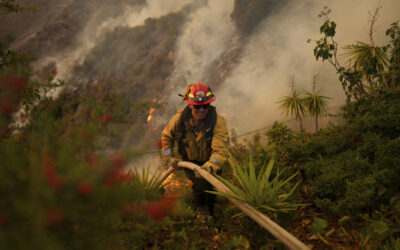 Los Angeles Wildfires Latest: 16 Dead; Firefighters Race Against Forecasted Wind Uptick