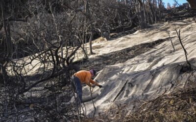 Rain Helps Los Angeles Firefighters but Sends Ash and Mud Flowing Down Hillsides