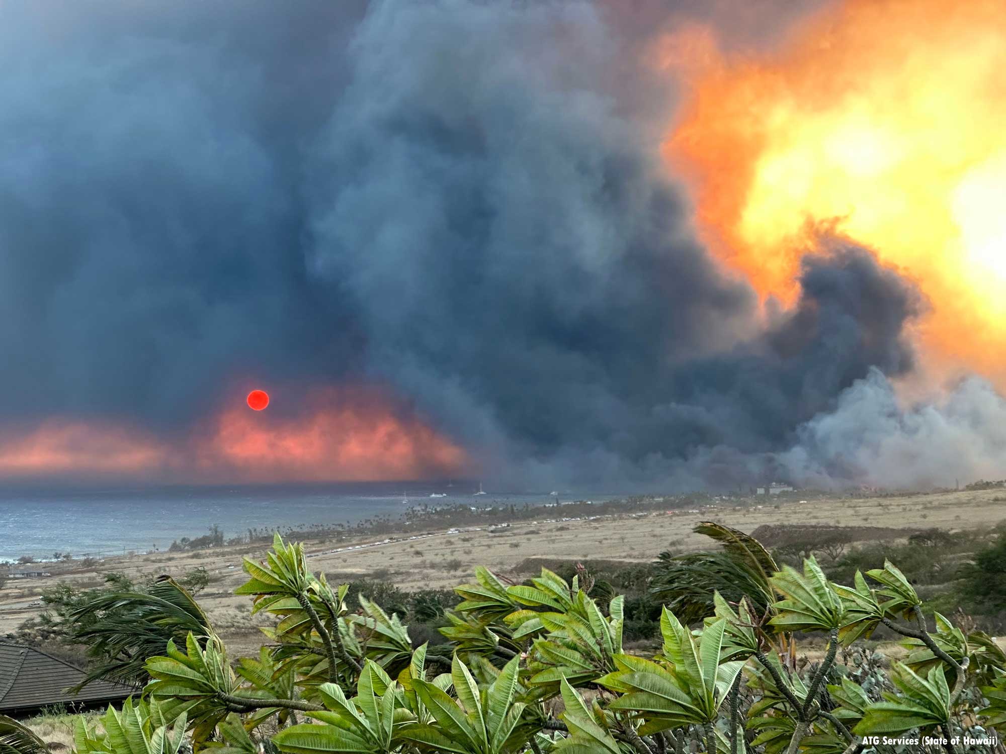 Lahaina wildfire