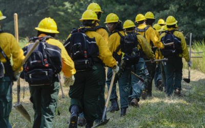 Trump Backs Higher Pay for Wildland Firefighters While DOGE Cuts Wildfire Support Staff