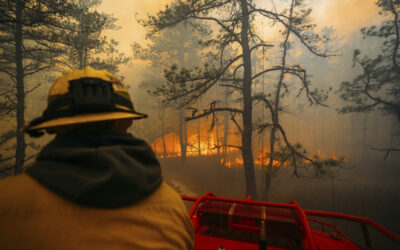 Firefighters in the Carolinas Battle Multiple Wildfires as NJ Crews Contain a Forest Blaze