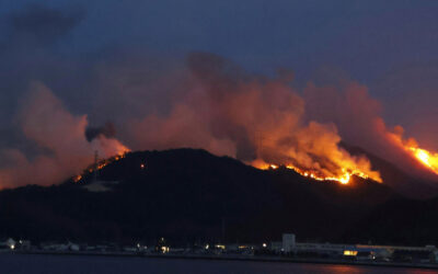 Wildfires in Western Japan Damage Homes, Force Residents to Evacuate in at Least 2 Areas