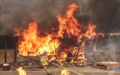Wildfires Ravage Southern South Korea, Killing 24 People and Forcing 27,000 to Evacuate