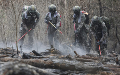 South Korea Struggles to Contain Wildfires; Helicopter Crash is Latest Setback