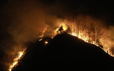 Rain and Cooler Weather Help South Korean Fire Crews Battle Devastating Wildfires