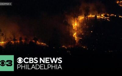 Wildfire in NJ Neighborhood Spreads to 150 Acres, Is 50% Contained