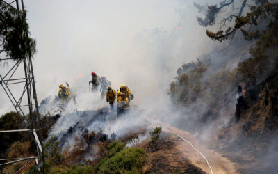 Berkeley (CA) Moves to Make Homeowners in Severe Fire-Risk Areas Clear Five-Foot Zone Around Homes