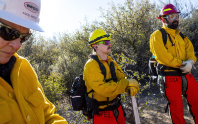 On the Heels of a Dry Winter, Firefighters Around the US Brace for Wildfire Risks