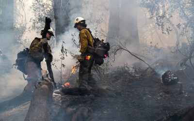 Californians Urged to Prepare Now for Fire Season