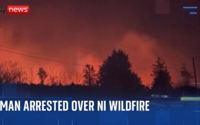 Firefighters in Northern Ireland Mop up After Fire Swept Through Forest