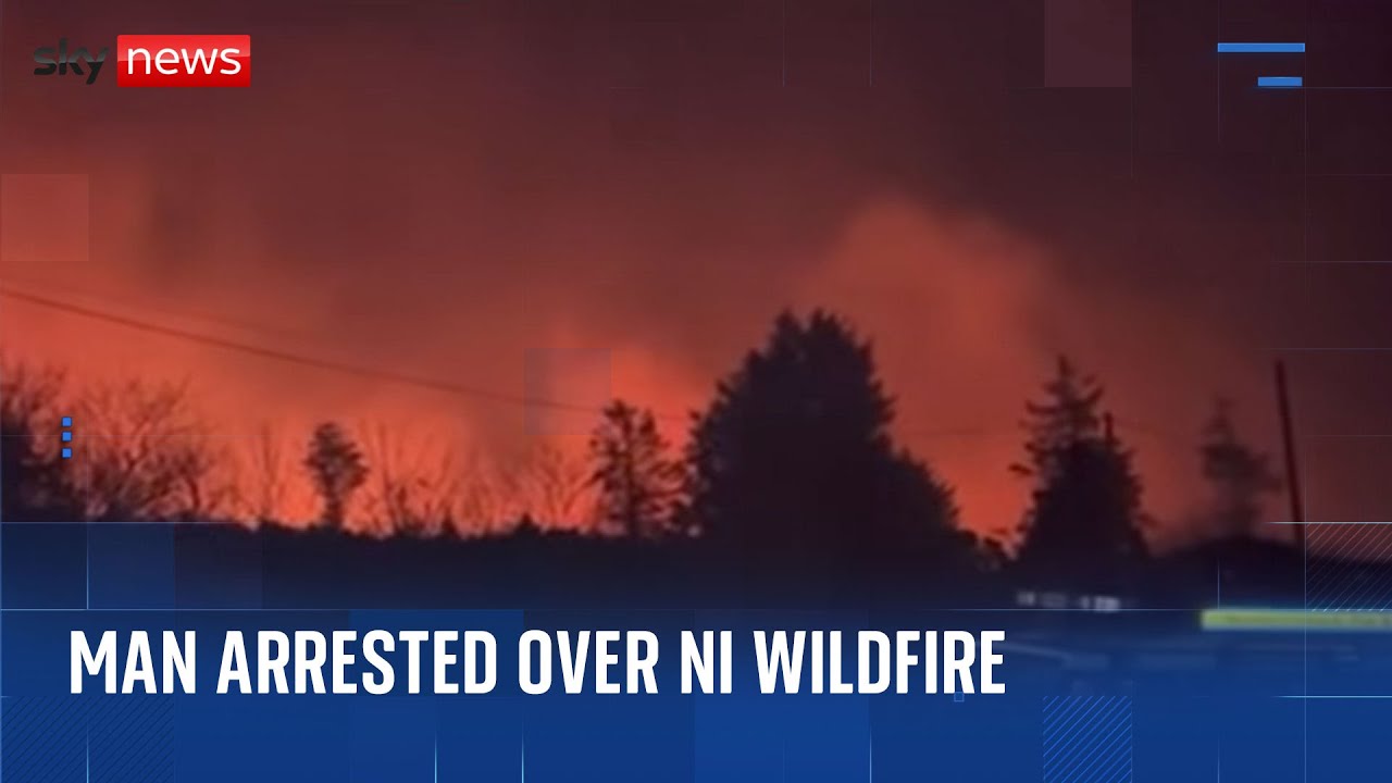 Firefighters in Northern Ireland Mop up After Fire Swept Through Forest