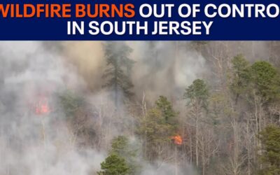 Wildfire Intensifies to 1,200 Acres but NJ First Responders Make ‘Substantial Progress’