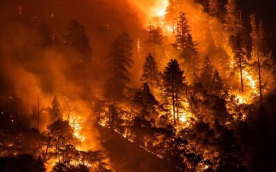 How Bad Will CA Wildfires Be This Summer? Experts Weigh in on Forecast