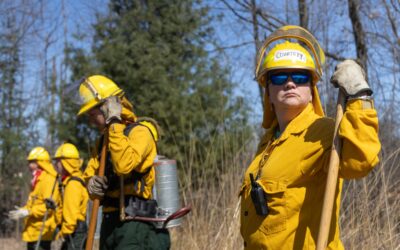 MI Forests at Risk of Devastating Wildfires, Experts Warn