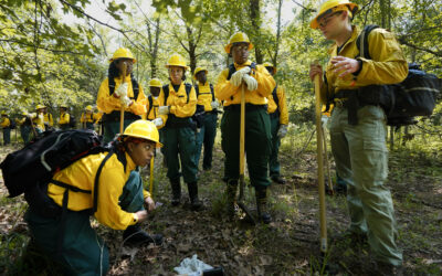Forest and Park Service Worker Cuts Leave Wildland Firefighting Crews Short-Staffed