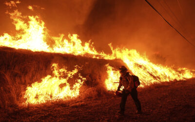 Trump Plans to Merge Wildland Firefighting Efforts Into One Agency, but Ex-Officials Warn of Chaos