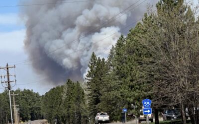 Three Wildfires Break out in Northern MN