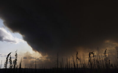 Wildfire Conditions in MI ‘Ideal’ as Air Quality Advisory Issued
