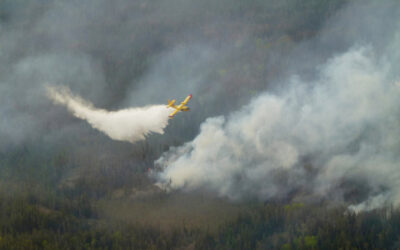 Canadian Wildfires Force Thousands to Evacuate