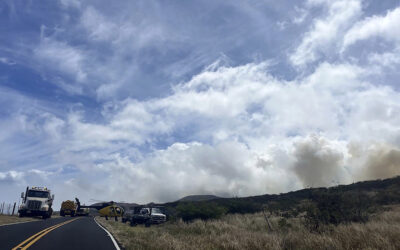 Fast-Moving Brush Fire on HI’s Maui Island Evacuates About 50 People