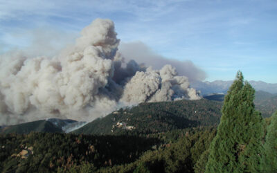 Cal Fire Sues PG&E Over Napa’s Old Fire