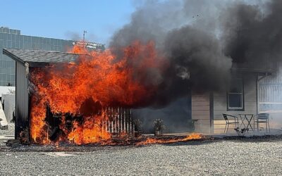 In a Test, One Home Burns, the Other Is Unscathed. A Lesson for Fire-Proofing Los Angeles?